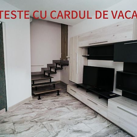 Apartment Attic Sibiu Dış mekan fotoğraf